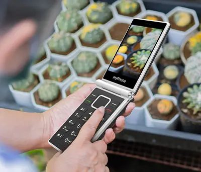 myPhone Tango 2 LTE, trzymany w dłoni, w tle kaktusy