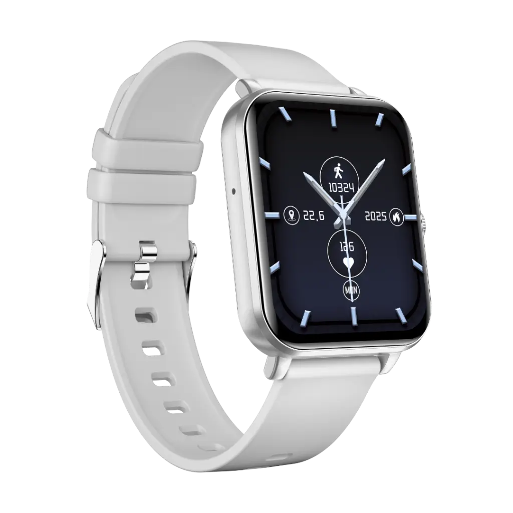 2. Watch Classic 2 silver.webp